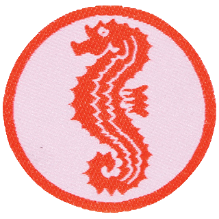 seepferdchen